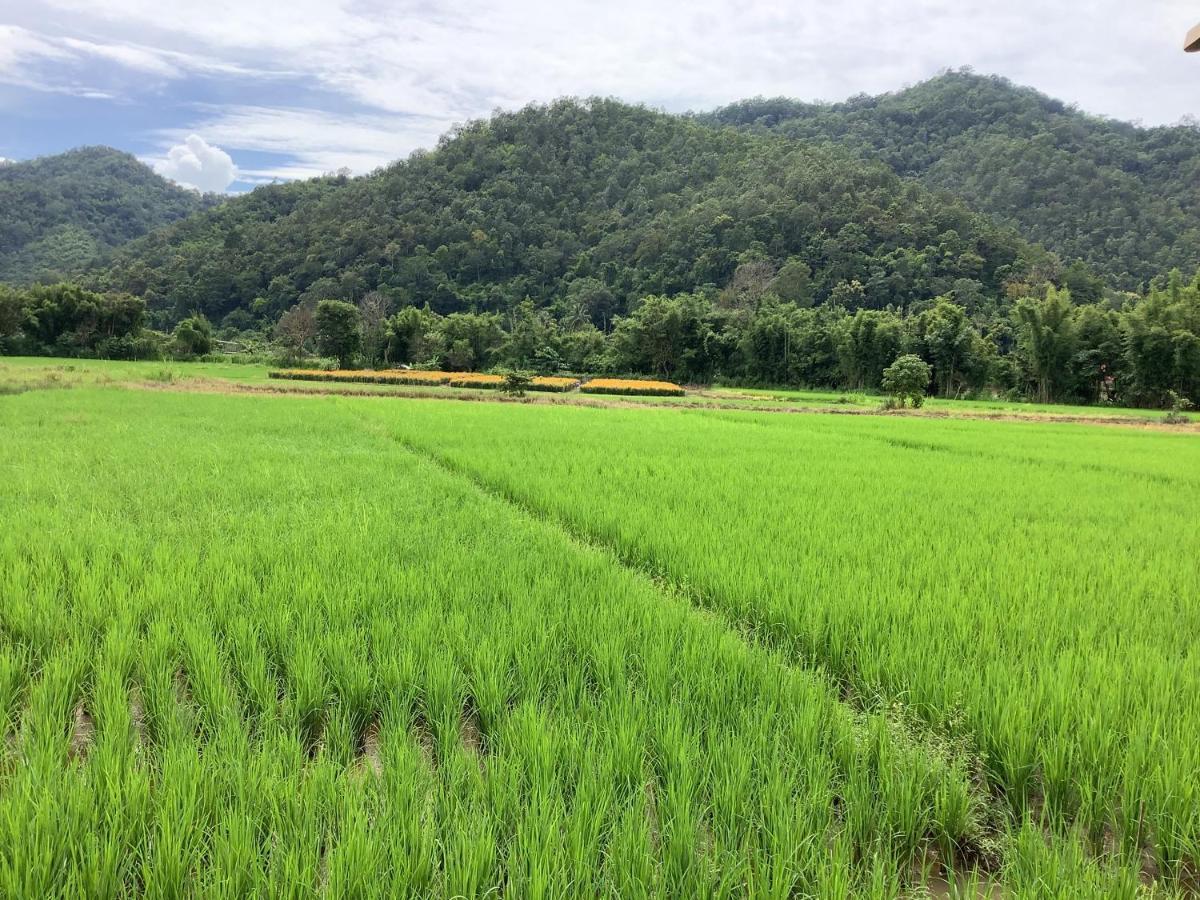บ้านสวนวิวทุ่ง Ban Mae Sap Nua Exteriör bild