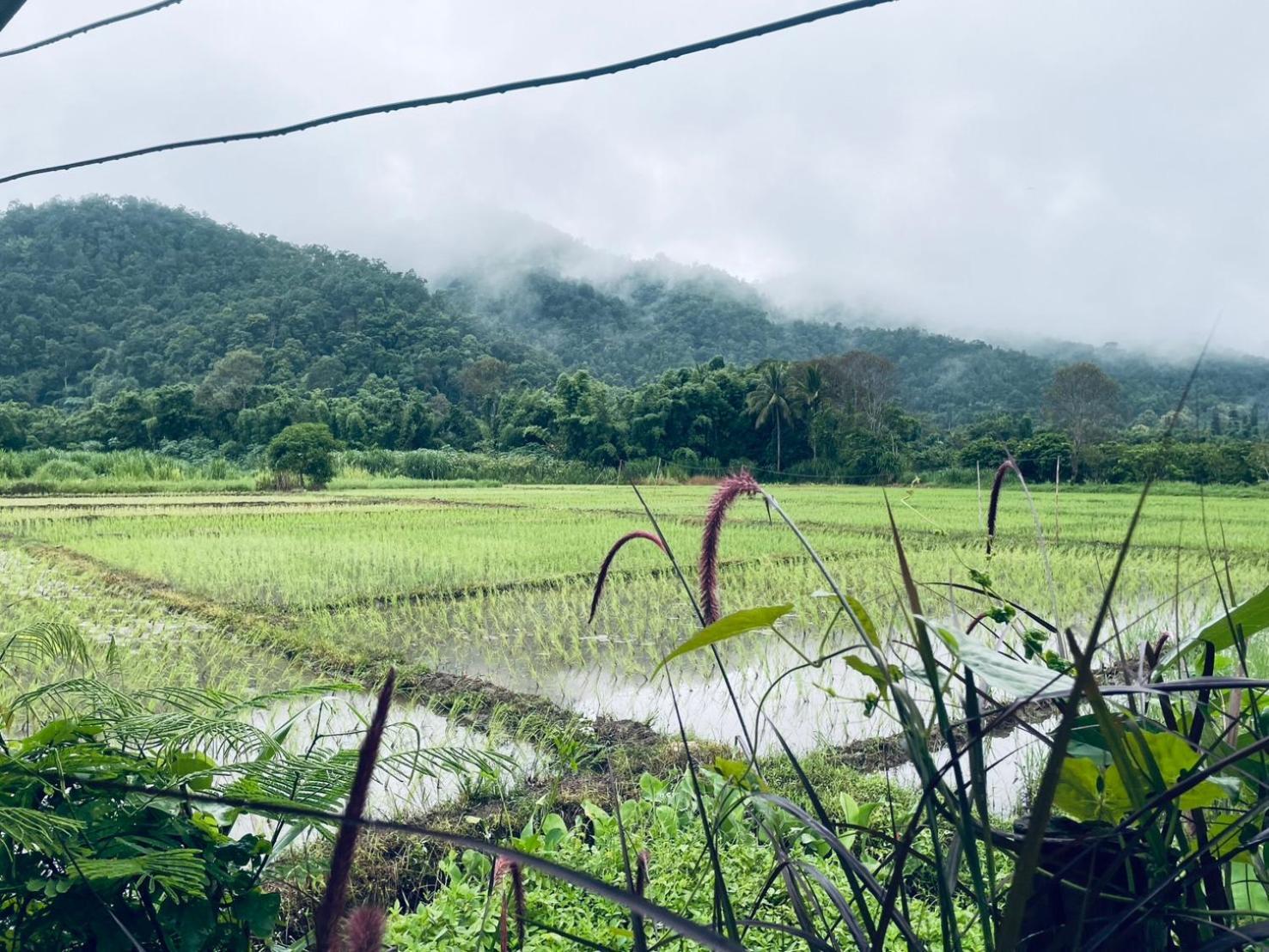 บ้านสวนวิวทุ่ง Ban Mae Sap Nua Exteriör bild