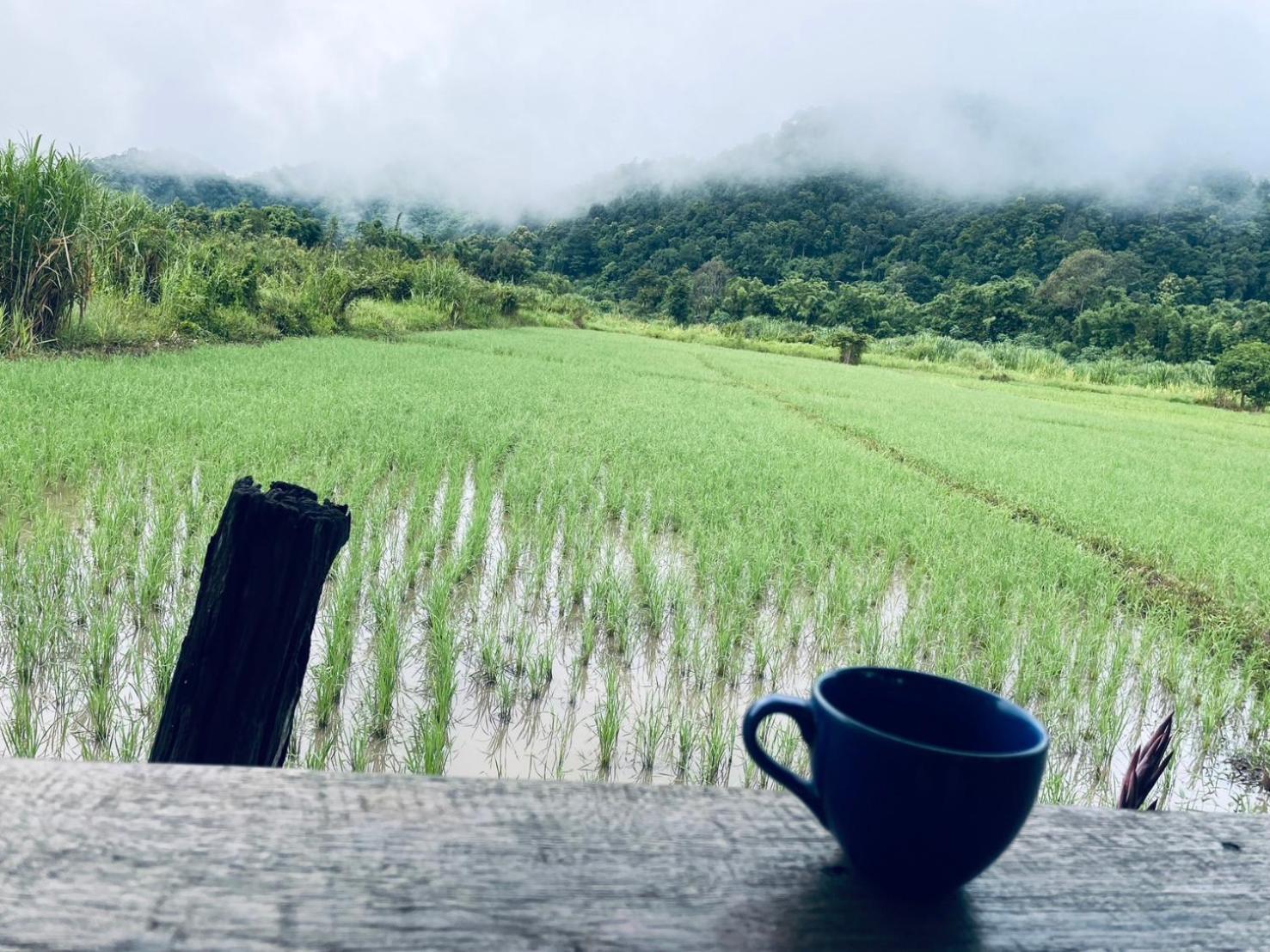 บ้านสวนวิวทุ่ง Ban Mae Sap Nua Exteriör bild