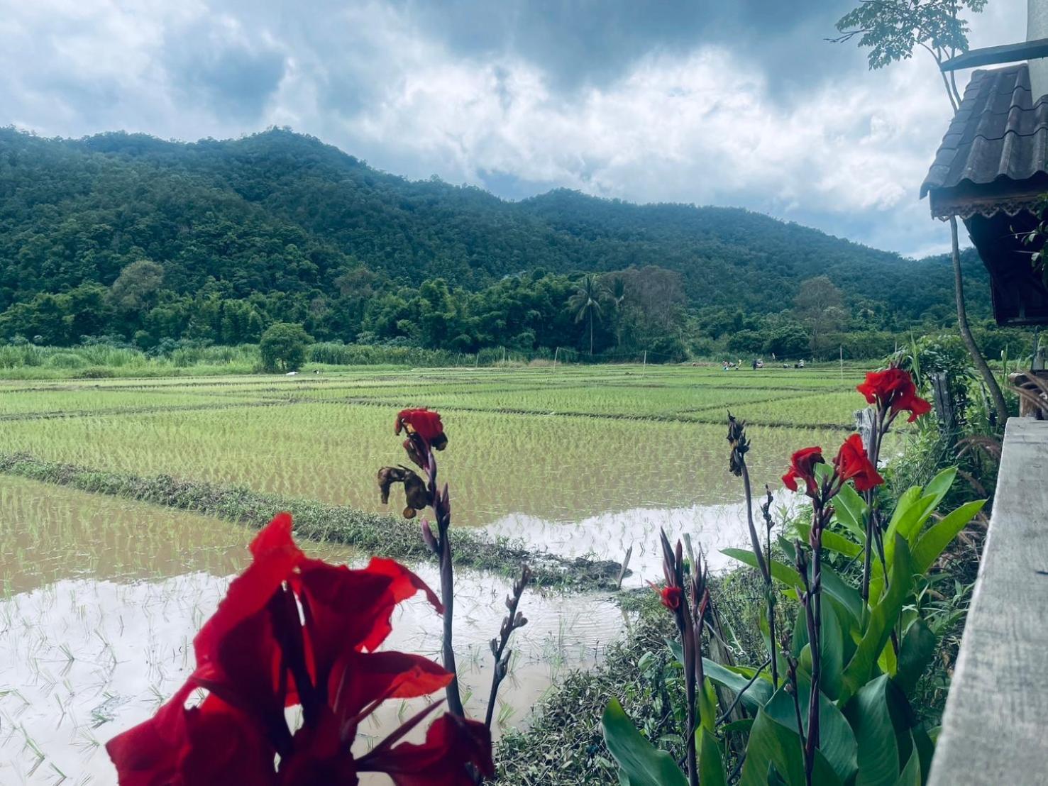 บ้านสวนวิวทุ่ง Ban Mae Sap Nua Exteriör bild