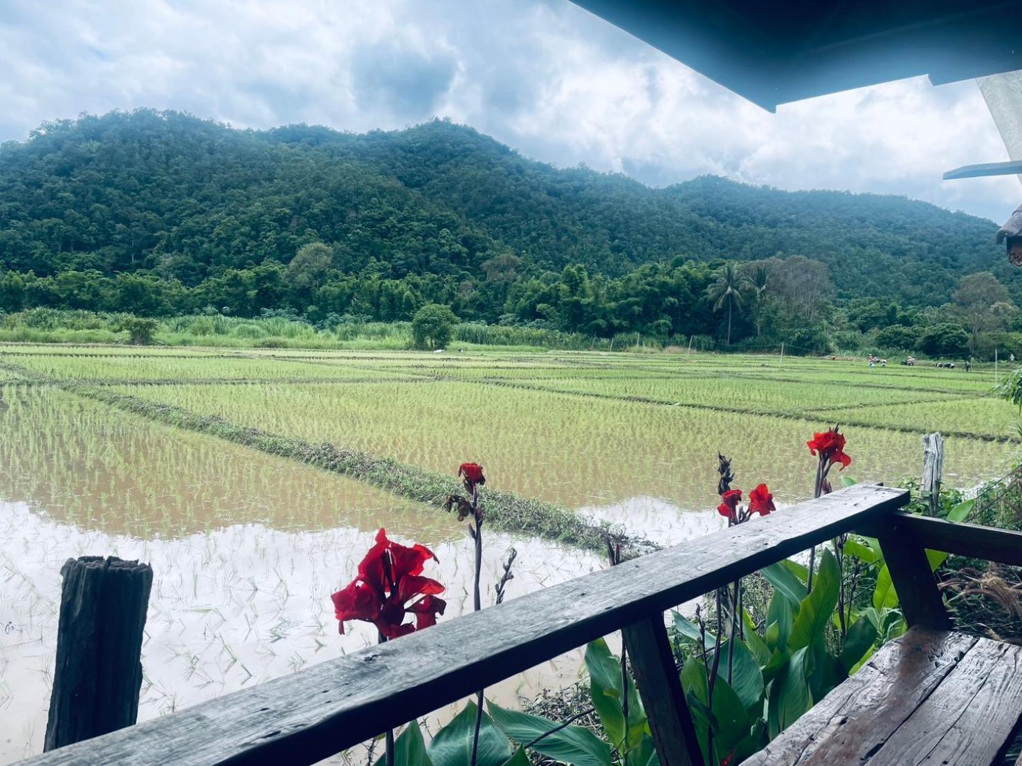 บ้านสวนวิวทุ่ง Ban Mae Sap Nua Exteriör bild