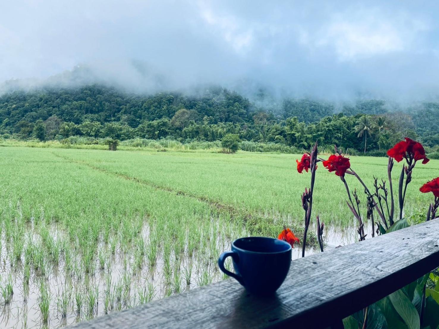 บ้านสวนวิวทุ่ง Ban Mae Sap Nua Exteriör bild