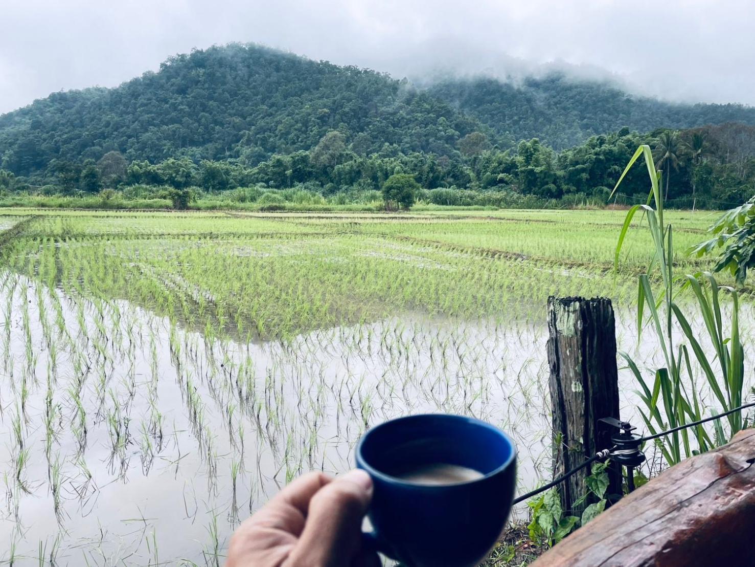 บ้านสวนวิวทุ่ง Ban Mae Sap Nua Exteriör bild