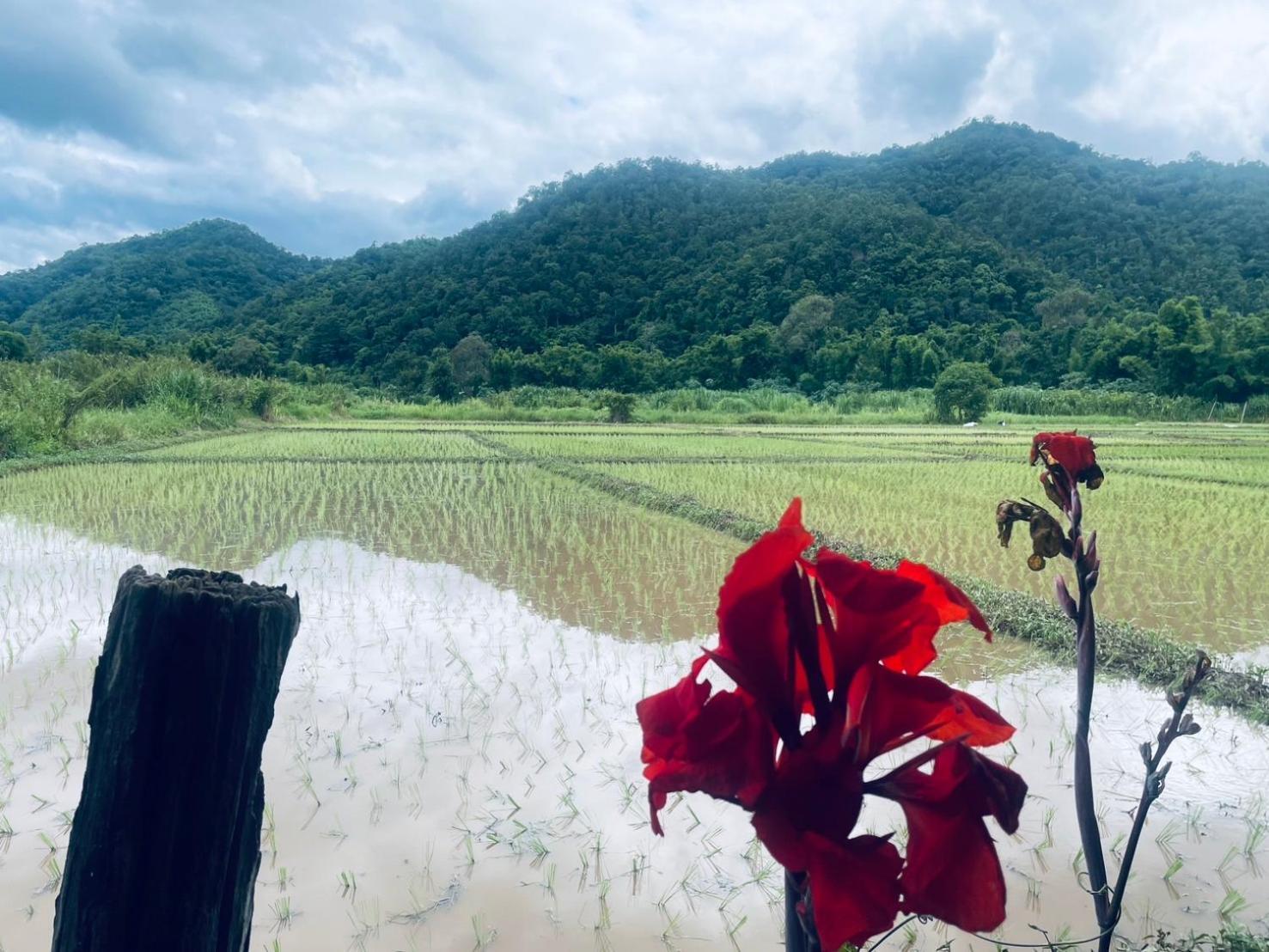 บ้านสวนวิวทุ่ง Ban Mae Sap Nua Exteriör bild