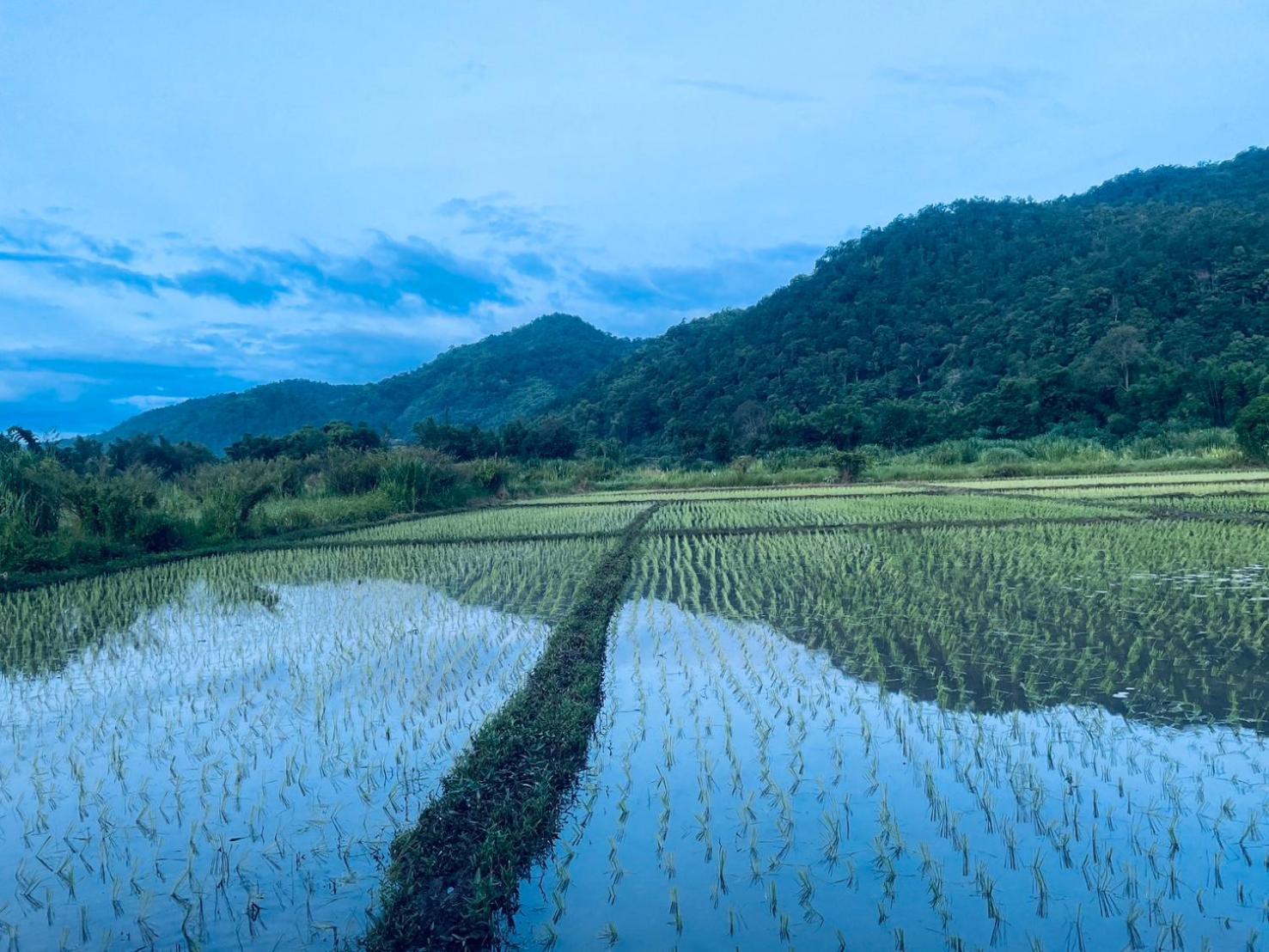 บ้านสวนวิวทุ่ง Ban Mae Sap Nua Exteriör bild