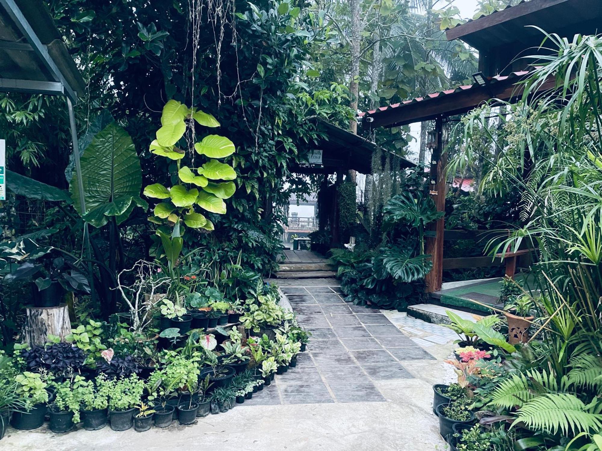 บ้านสวนวิวทุ่ง Ban Mae Sap Nua Exteriör bild